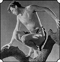 Johny Weissmuller as Tarzan